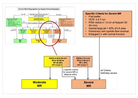 lv grade and mr|grading mr severity.